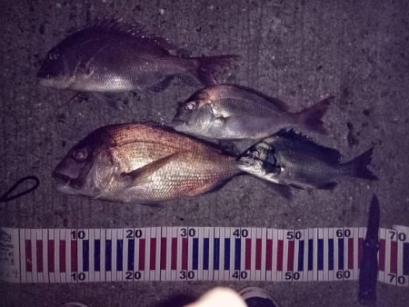 小豆島遠征part2