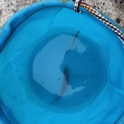 小豆島遠征part1