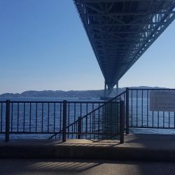 久しぶりのこぶ無し