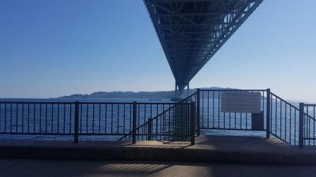 久しぶりのこぶ無し