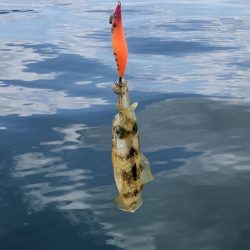 コロッケあがりました。