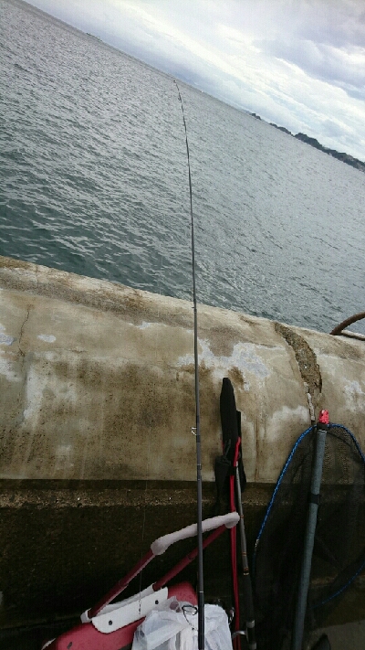 源一郎の鱗付けしたくて…超満員のマリーナ(*_*)