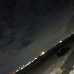 沖堤で青物リベンジ！ヤバかったけど…