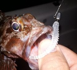 ボートアジング