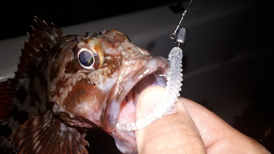 ボートアジング