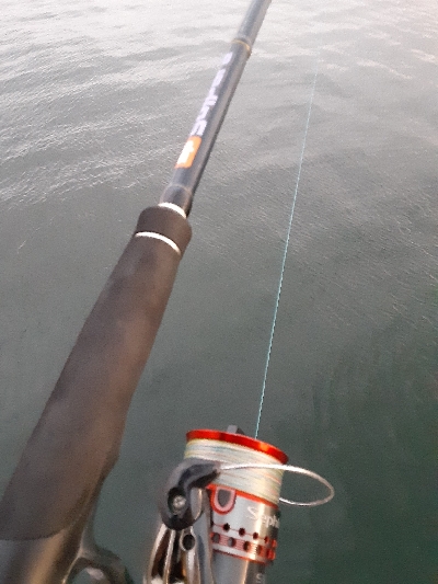 タチウオ狙うも・・・