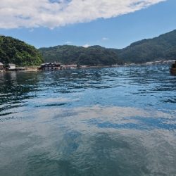 色々釣れました