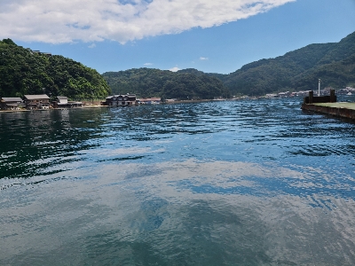 色々釣れました