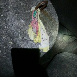 キジハタ2匹、カサゴ1匹！小アジ