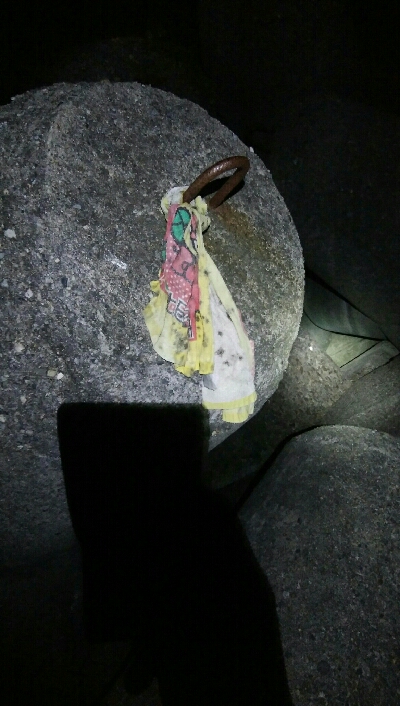 キジハタ2匹、カサゴ1匹！小アジ