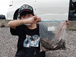 のべ竿でハゼ爆釣