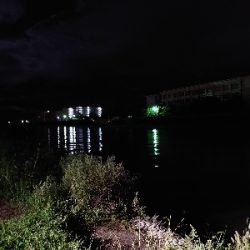 シーバス狙いが…