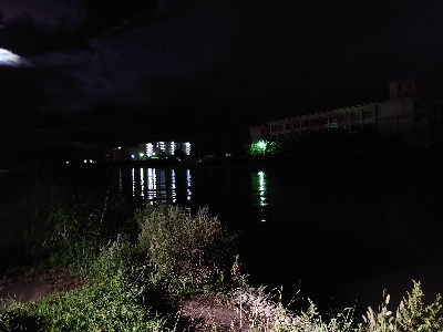 シーバス狙いが…