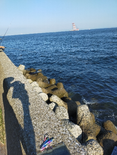 真っ昼間にも回遊有り