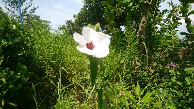 『釣りデビュー(´▽`)』213
