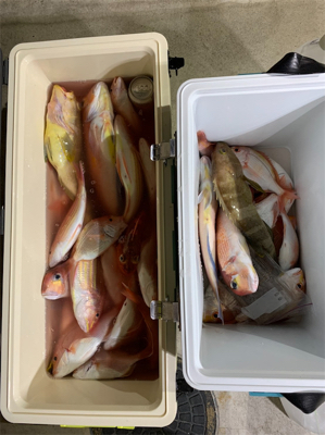 マイボートでイカラバ‼︎ アマダイ、レンコダイ狙い