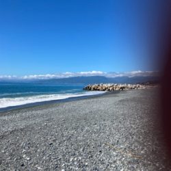 弓角釣れました。