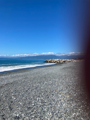 弓角釣れました。