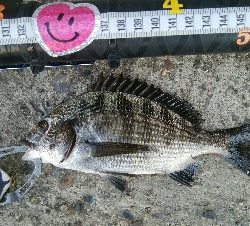 『釣りデビュー♡』217