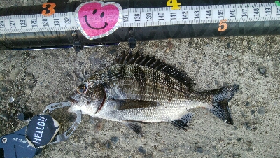 『釣りデビュー♡』217