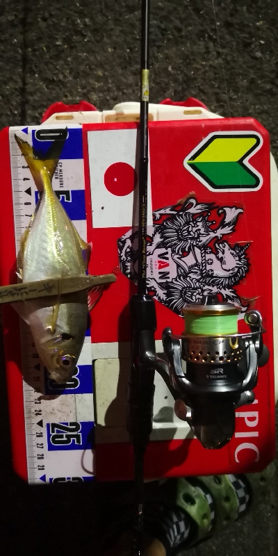 アジング練習 312 豆鯵