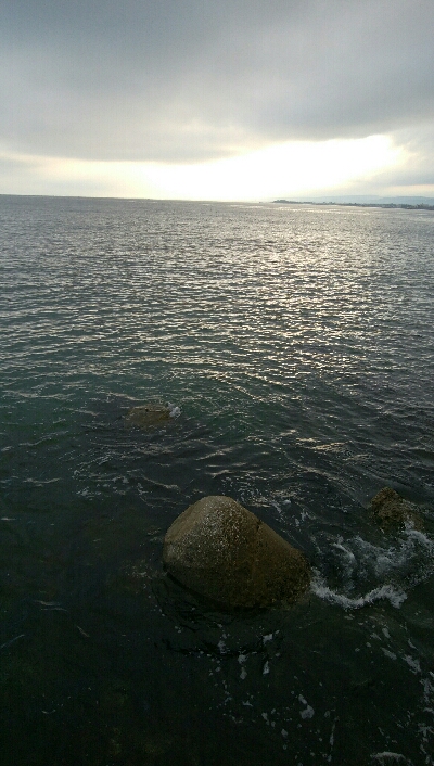 キス　ツバイソ　小鯛