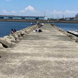キス釣り、ハゼ釣り