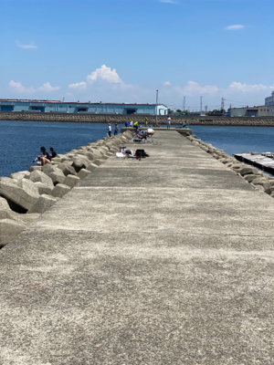 キス釣り、ハゼ釣り