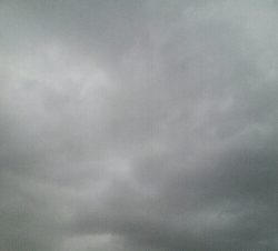 『釣りデビュー♬♬♬』221