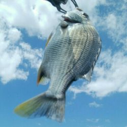 『釣りデビュー♡』222日目