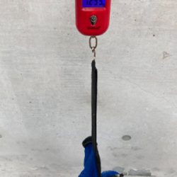 雨降り前のHC蛸散歩。4杯。。