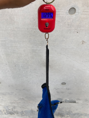 雨降り前のHC蛸散歩。4杯。。