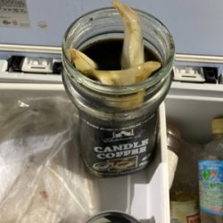 和歌山イカメタル