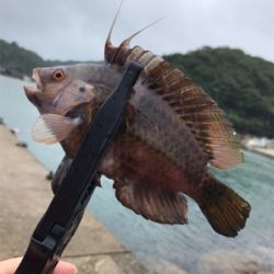 穴釣り