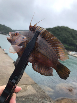 穴釣り