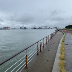 やっと、晴れ間が!