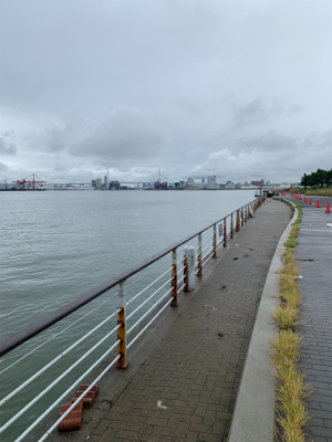 やっと、晴れ間が!