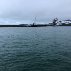 雨がやんだので