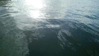 『釣りデビュー(^^)』230日目