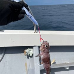 中深海スロージギング