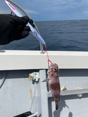 中深海スロージギング