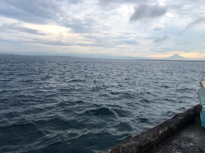 マアジはどこへ？