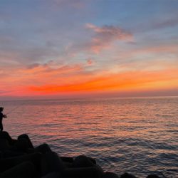 朝まづめのタチウオ釣り