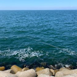 餌取りの先に…