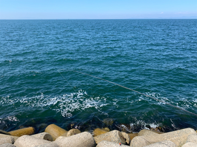 餌取りの先に…