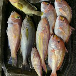 マイボートで久しぶりのアマダイ狙い！