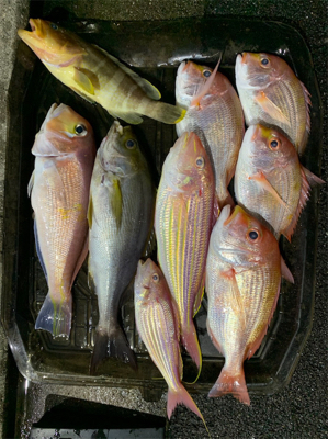 マイボートで久しぶりのアマダイ狙い！