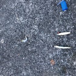 アジ少なめイワシまし人マシマシ