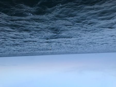 アジングで小型青物