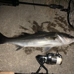 イナッコボイル